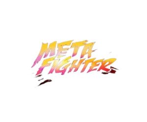 Meta Fighter